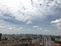 Clover By The Park (D20), Condominium #405277211